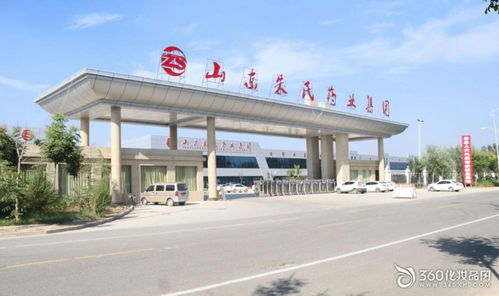 山东朱氏药业集团 膏药贴加工经验20年
