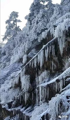 通知 | 黄山北大门恢复开放;高铁黄山北站到各景区旅游班车有调整.