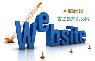网站建设,企业自助建站就选蜘蛛商务网
