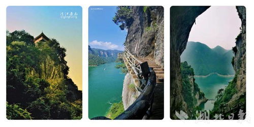 焰火音乐节 月饼山川图 萌宠交友会 湖北文旅集团 中秋奇妙夜 榜单大放送