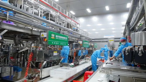 洪湖,又添8个冠军