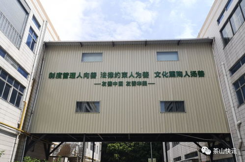 华美食品候选市第二批优秀 友善企业 ,一起为它投票吧