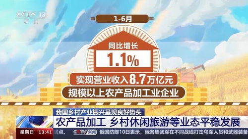 产业发展 农民增收 我国乡村产业振兴呈现良好势头