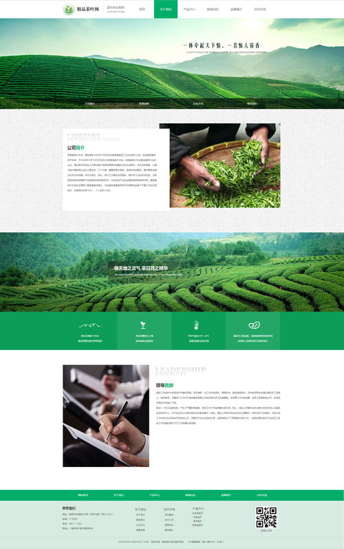 精品茶叶企业网站,前端初学者