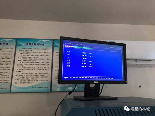 四个平台,林城镇在行动 二百一十六
