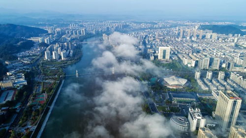 最高一次性奖励100万元 黄山市对这件事发力了