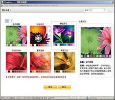 体验便捷 速成网站中小企业快速建站实录
