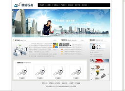 企业政府