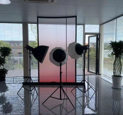 今天,这个集市正式开启