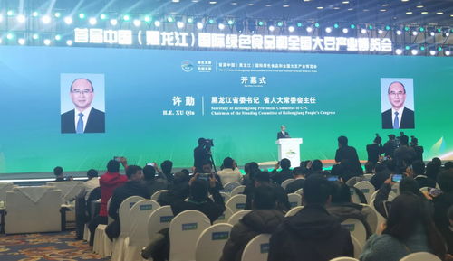 首届中国黑龙江国际绿色食品和全国大豆产业博览会盛大开幕，黄山企业积极布局建站