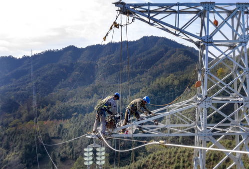 安徽黄山供电公司打通电网互联动脉,为融入长三角经济圈增添动力
