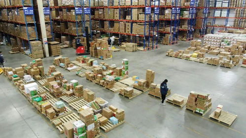 河南打造全国冷链食品强省 数字化赋能引领行业变革